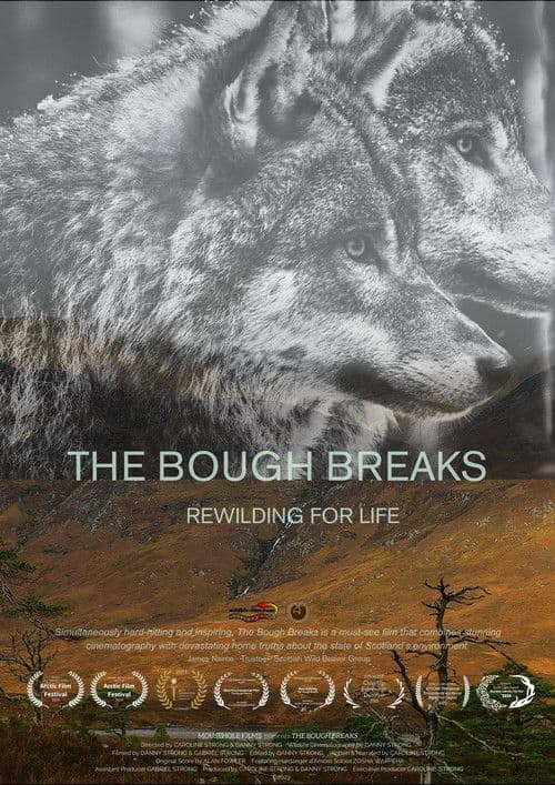 The Bough Breaks
